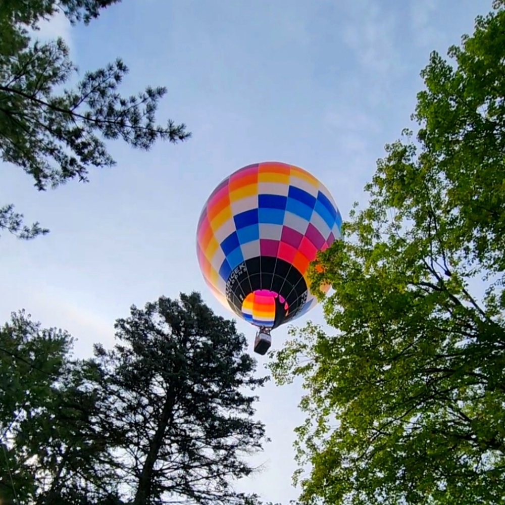 Meet Your Posher ⚘️